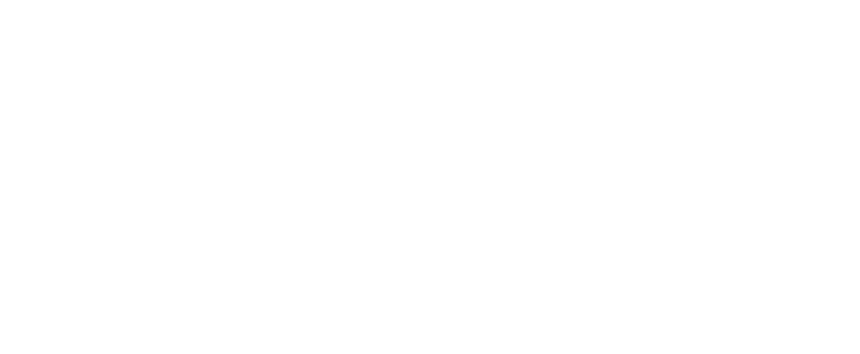 The Leapers